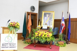 16251916_1376946189016869_4530621029389075456_o