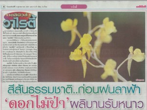 ภาพเป็นข่าว