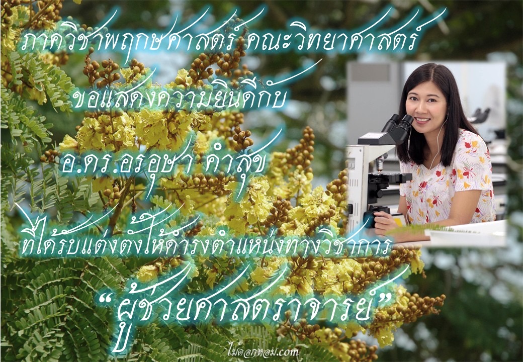 ขอแสดงความยินดีกับ ผู้ช่วยศาสตราจารย์คนใหม่ ผศ.ดร.อรอุษา คำสุข