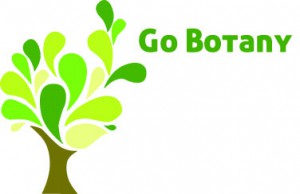 Go-botany-logo